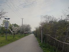 -菊园百果园
