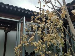-VOYAGE COFFEE(杨梅竹店)