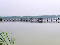 -西青郊野公园