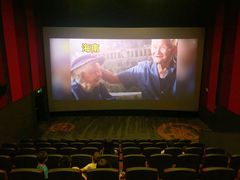 -上影国际影城(普陀绿地缤纷城店)