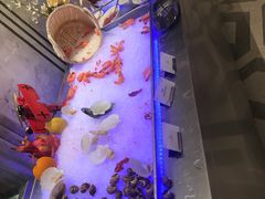 -云尚自助餐厅(佛山南海瞻云酒店)