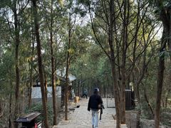 -云龙山