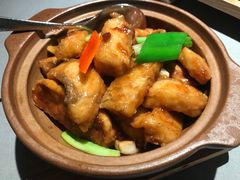 豆腐鱼腩煲-大鸽饭(体育西路店)
