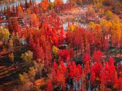 -龙口南山旅游景区