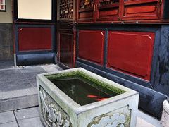 古色古香的鱼缸-星巴克(成都锦里店)