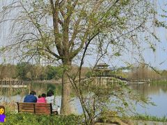 -洋湖国家湿地公园