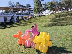 -云禾壹海景庄园餐厅