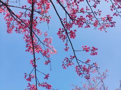 -牛岗山公园