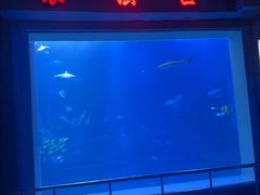 -太平洋海底世界