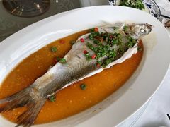 -西湖春天•老字号杭州菜(百汇店)