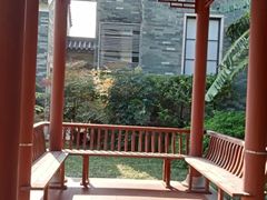 -广州神农草堂中医药博物馆