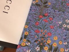 -弘烨 贵州酸汤 鱼火锅(东财店)