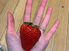-南京众彩农副产品配送有限公司