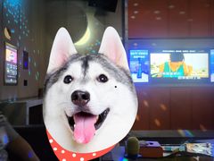 -星聚会KTV(景枫中心店)