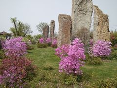 -南通洲际绿博园