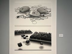 -江苏省美术馆(长江路新馆)