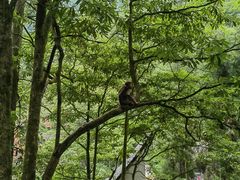 -西岭雪山大飞水景区