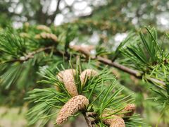 -白塘生态植物园