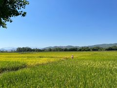 -清远鱼水旅游风景度假区