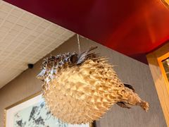 -红叶日本料理(三八广场店)