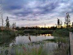 -白鹭湾湿地公园