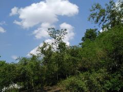 -会稽山峡洞漂流-上青古道