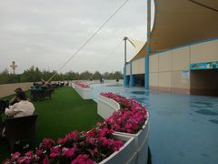 -秦皇岛乐岛海洋王国