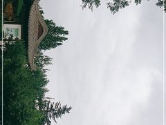 -莲湖公园