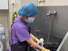 -北京观赏动物医院·24小时大型综合·猫专科·异宠专科
