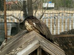 -意大利农场度假村