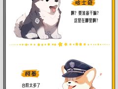 -北京京卫宠物寄养训练中心