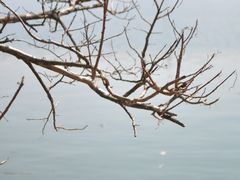 -梅城古镇