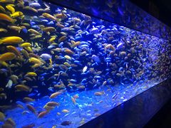 -成都浩海立方海洋公园