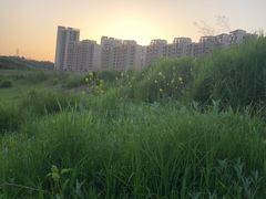 -池州市平天湖风景区