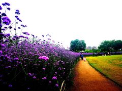 -杭州城北体育公园