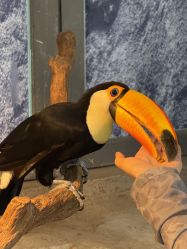 -Zoolung Zoolung动物主题公园(海信广场店)