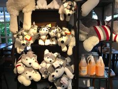 -TrueLove @ Neverland (Husky Cafe)