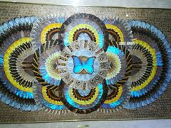 -上海昆虫博物馆