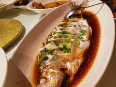 -金美华轩(东方路齐鲁店)