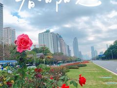 -深圳国际园林花卉博览园