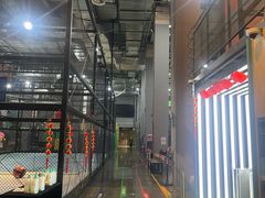 -运动派(北京店)