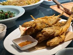 -燕郊烧鸽子(酷车小镇店)