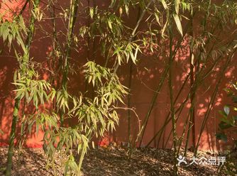 地铁二号线上海路站就是出了口要走很远。还算是便利的