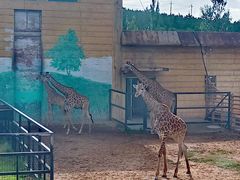 -鄂尔多斯野生动物园