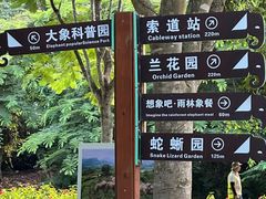 -野象谷景区