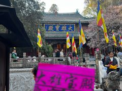 -盘龙寺