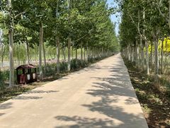 -西青郊野公园