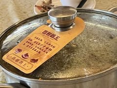 药膳乳鸽-百利鸽王(紫薇路店)