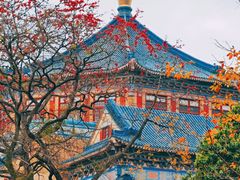 -广州中山纪念堂