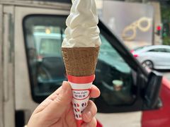 -富豪雪糕车流动点(尖沙咀店)